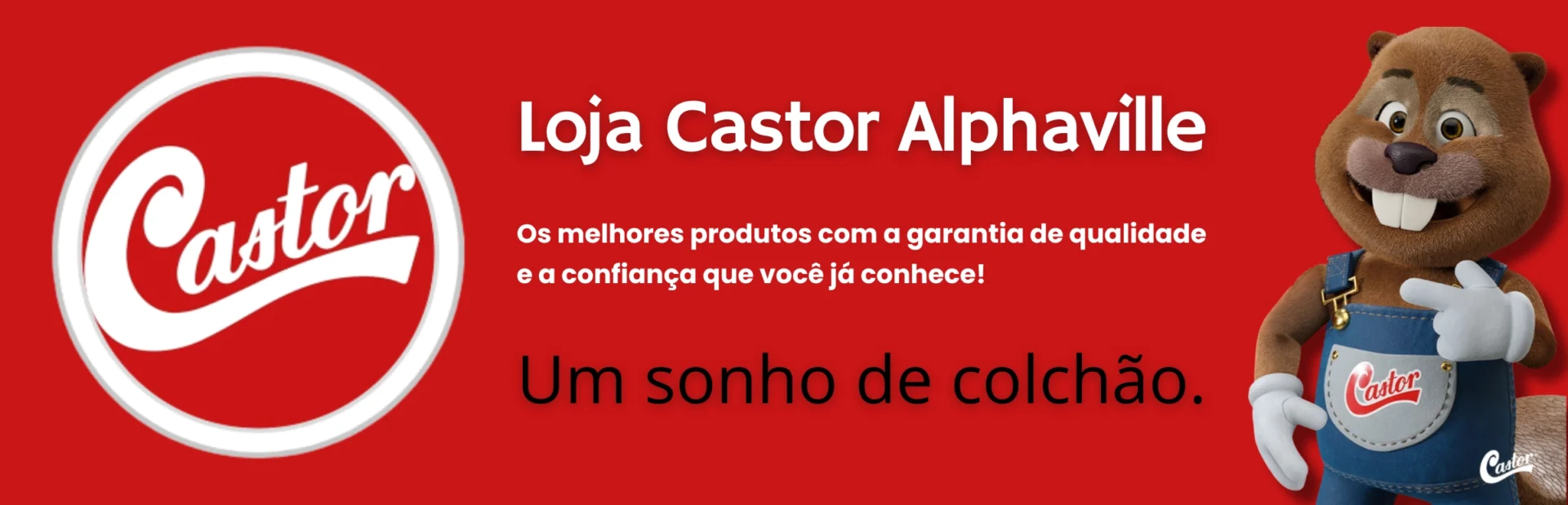 Banner Novo Castor copy
