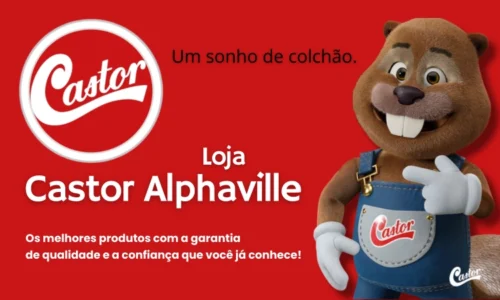 Card Novo Castor copy